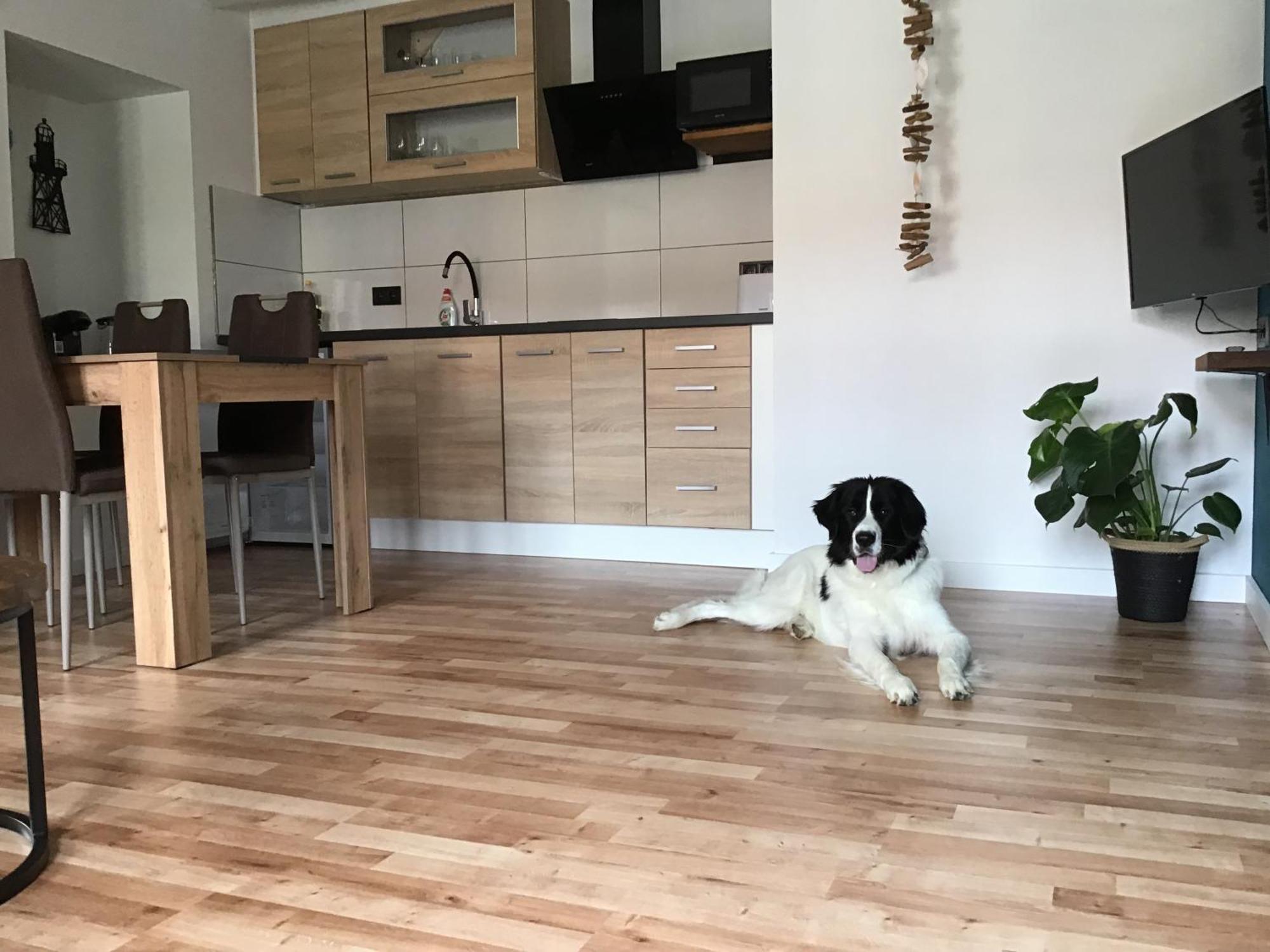 Apartmany A&Z Horice na Sumave Luaran gambar